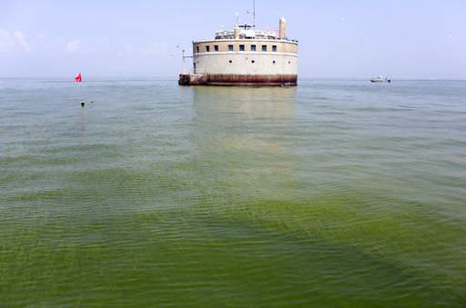 Researchers Creating Warning System for Toxic Algae in Lakes