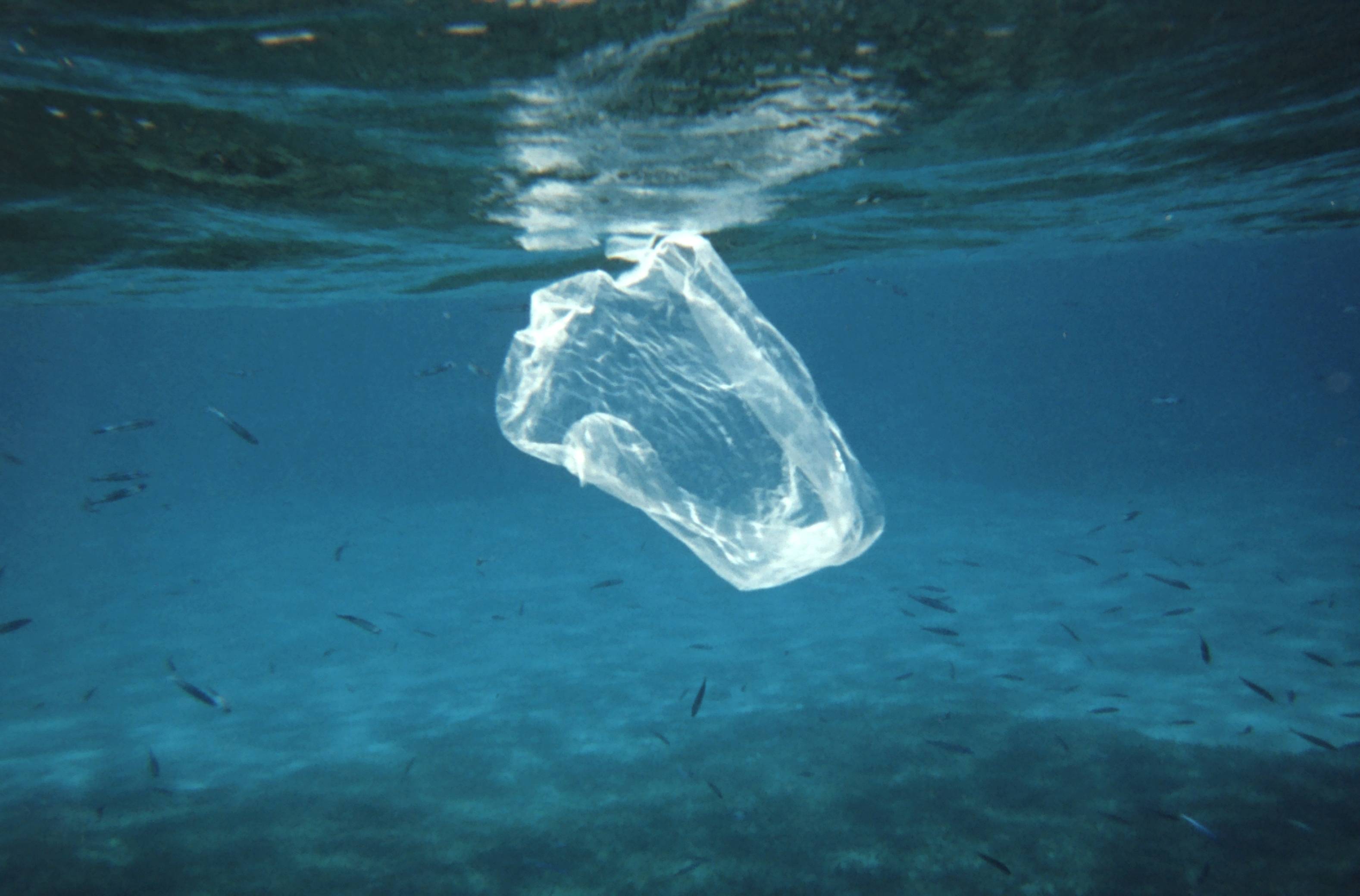 Plastic in Rivers Major Source of Ocean Pollution: Study