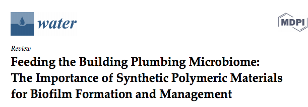 The Importance of Synthetic Polymeric Materials for Biofilm Formation and Management