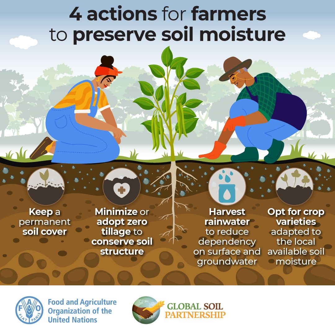 Here are 4 actions to perserve soil moisture