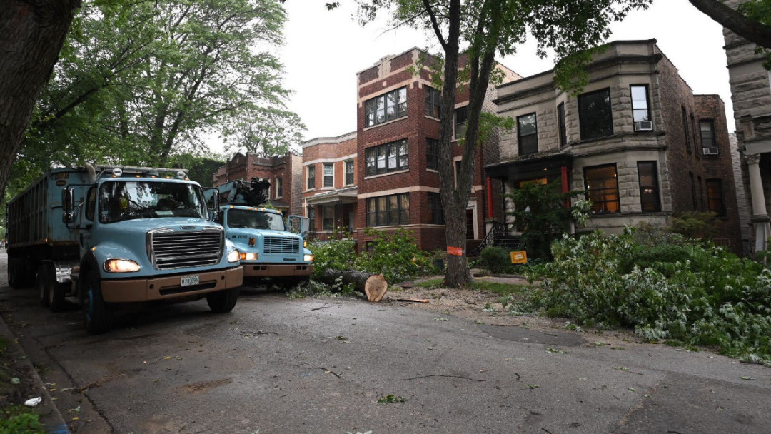 City Says Tree-Saving Sewer Line Pilot Program Failed In Andersonville. Now, Area Is Losing 11 Mature Trees