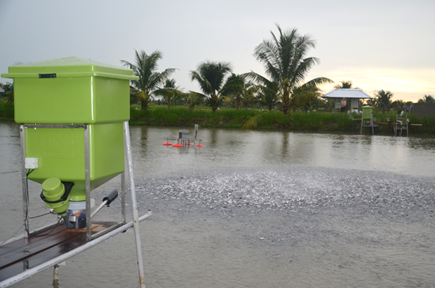 DHI Develops New Technologies for Sustainable Aquaculture in Vietnam