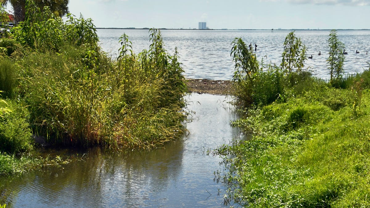 Indian River Lagoon gets millions, despite DeSantis budget vetoesThe Indian River Lagoon fared well in the state budget this week, despite Gov. ...