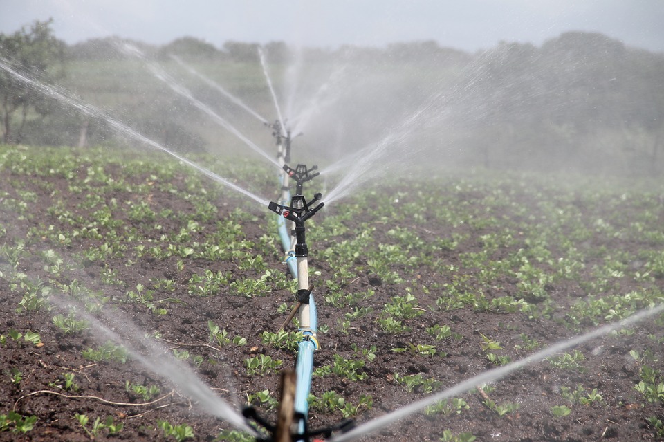 Sustainable Irrigation May Harm Other Development Goals