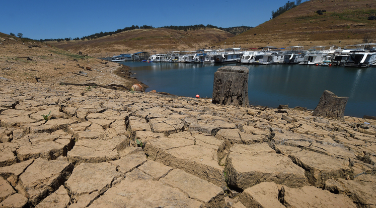 Largest Water Cuts in California's History