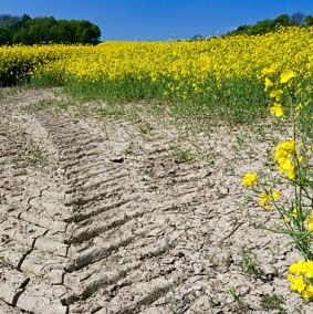 Investing in water as drought digs deep