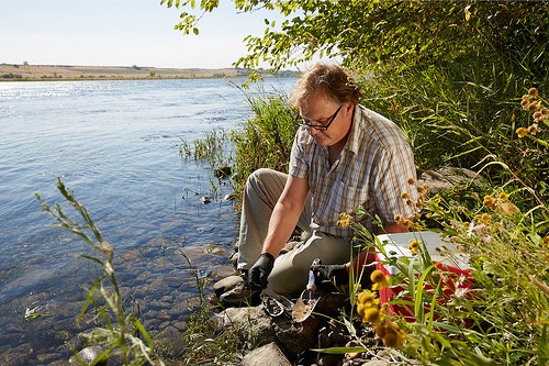 Microbes take center stage in workings of 'the river's liver'