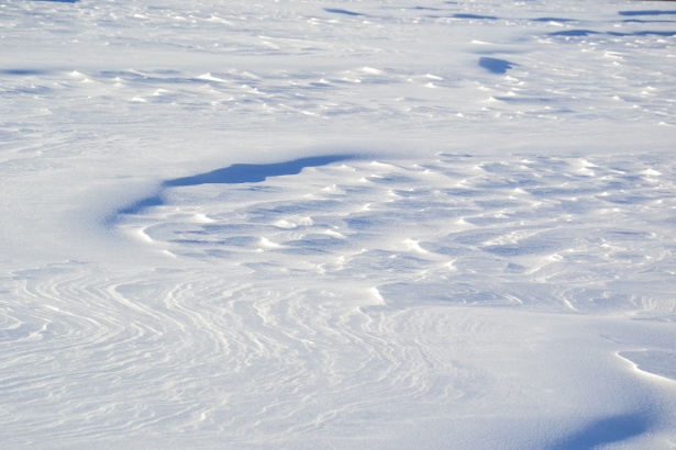 White and wonderful? Microplastics prevail in snow from the Alps to the Arctic