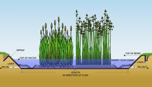 New method of restoring wetlands successful along Gulf Coast