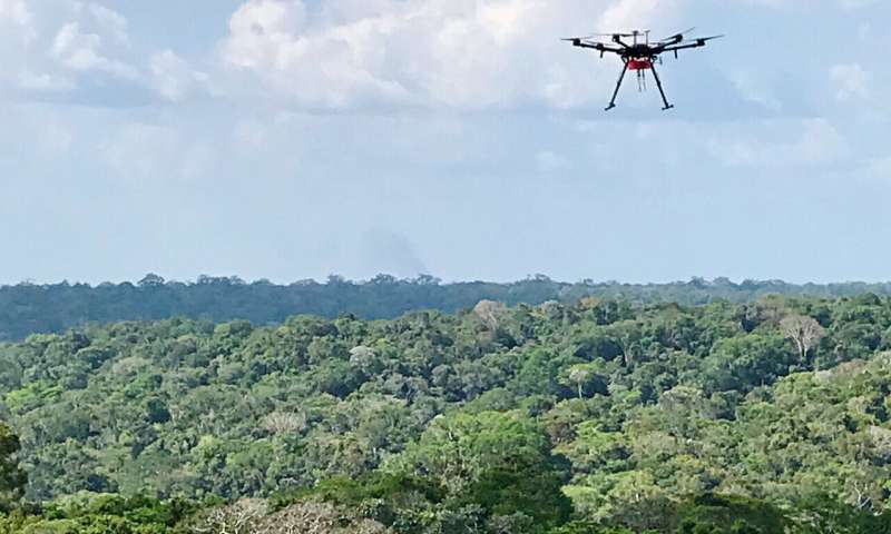 Drones Provide a Precise Chemical Fingerprint of the Amazon (Video)