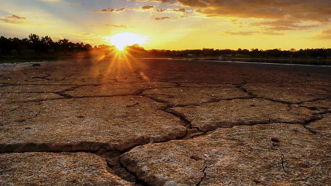 Climate Change Threatens Australia's Ecosystems