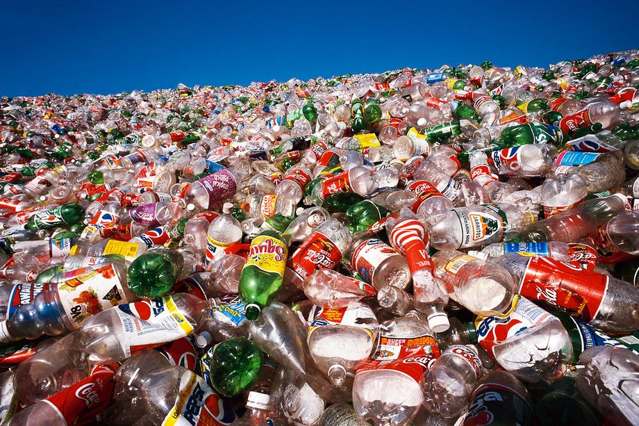 Where will the plastic waste go now?