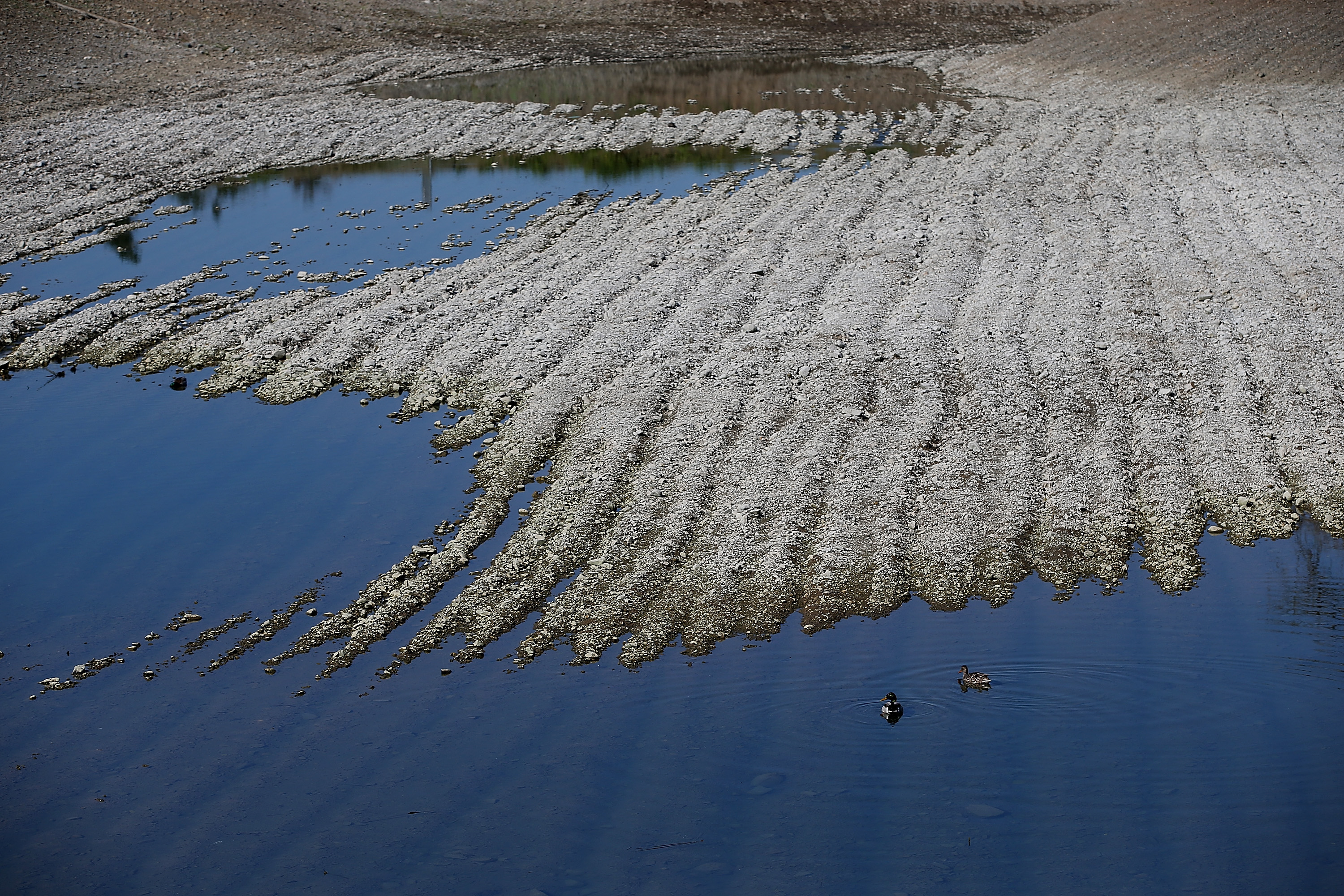 2015 California Water Policy Challenge