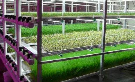 Water-smart Farms