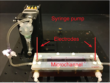 New Method for Energy Harvesting Methods in Water Desalination Plants?