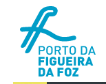 Figueira da Foz Port Authority