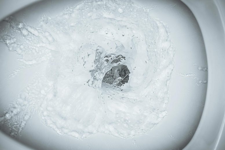 New, Slippery Toilet Coating Provides Cleaner Flushing, Saves Water