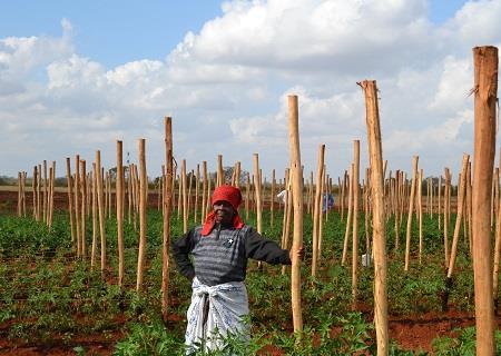 Satellites Help African Farmers Face Historic Drought