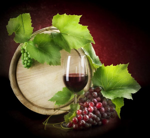 Optimizing Sludge Treatment - Wine Wastewater