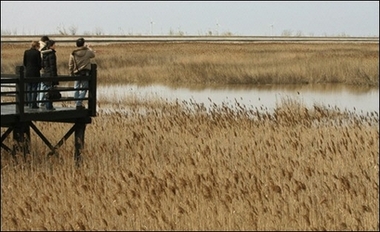 Shrinking Wetlands Issue In China