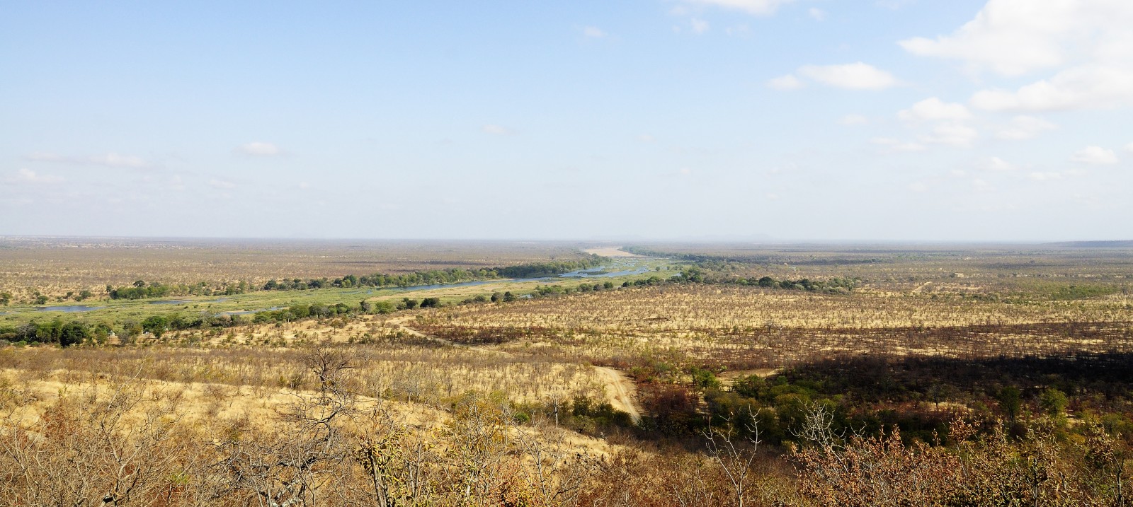 Drought-Hit Zimbabwe Unravels Amid Humanitarian, Economic, and Political Crises