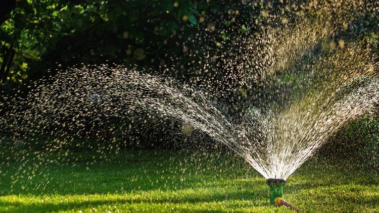 New Water-saving Product for Lawns