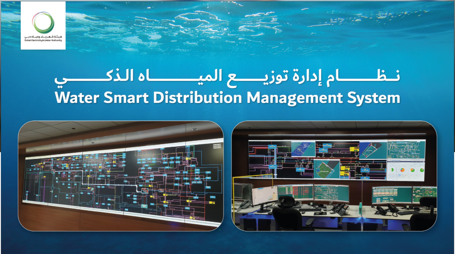 Smart Distribution Management System for reducing water losses