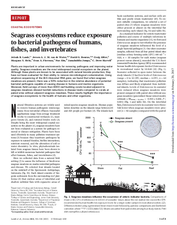 Seagrass ecosystems reduce exposure to bacterial pathogens of humans, fishes, and invertebrates