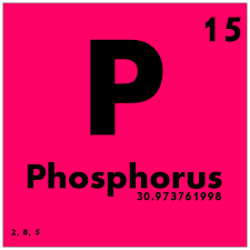 Removing Excess Phosphorus From Ethanol Production By-product Could Reduce Water Pollution