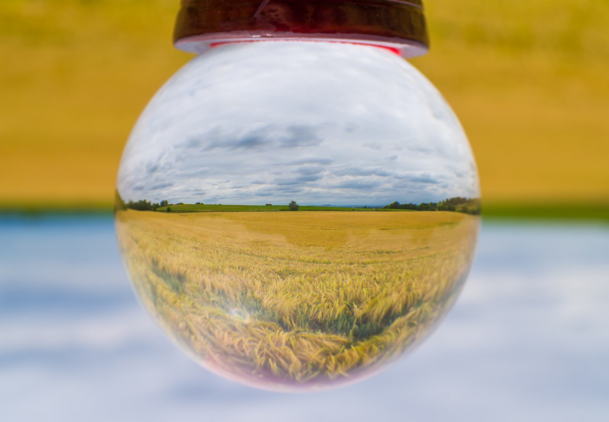 Research Shows ​UK Farmer ​Awareness of ​Water Quality ​Issues ​Improving ​