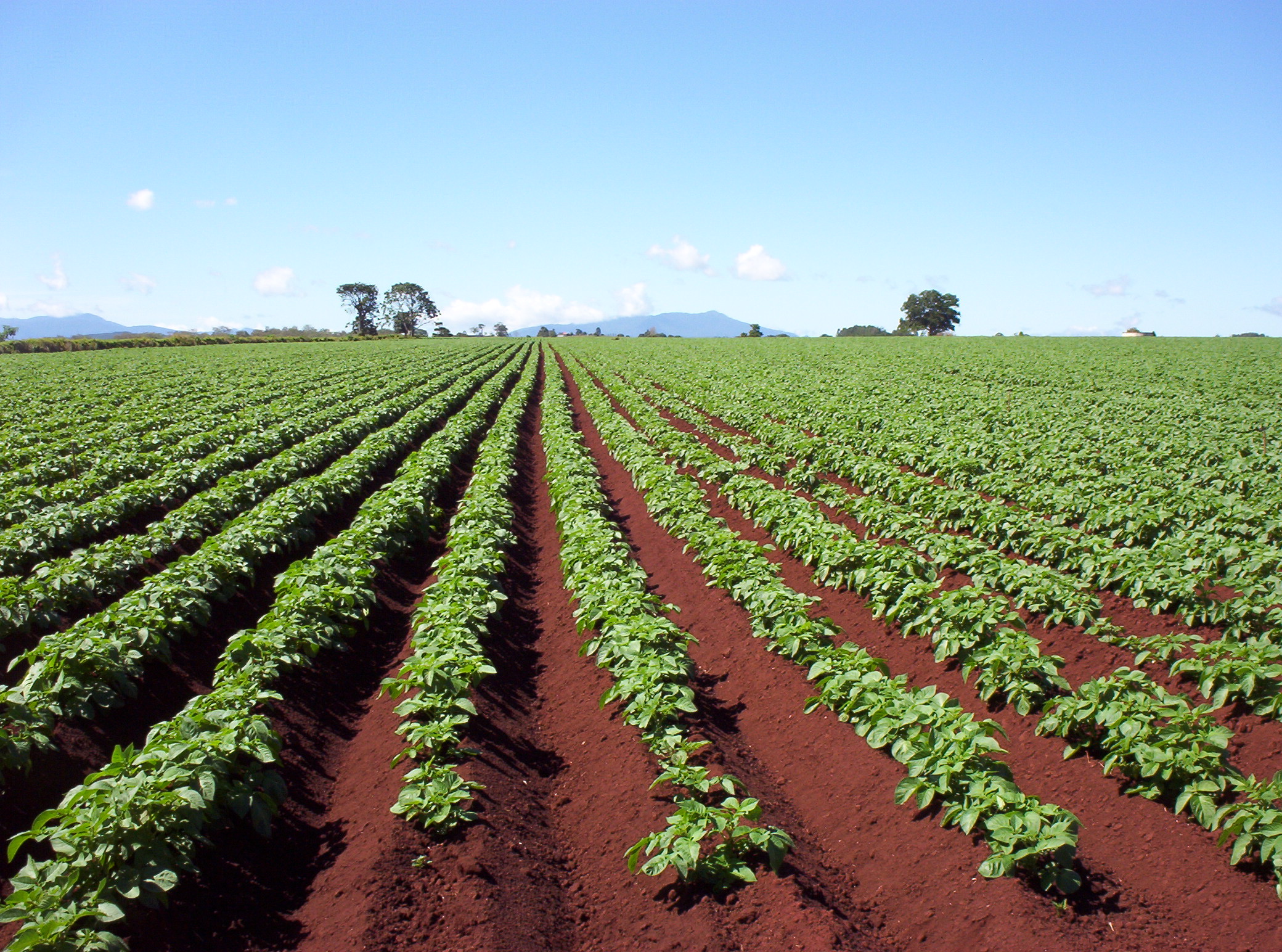 Changes to Farming Techniques Reducing Water Pollution
