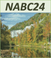 NABC 24