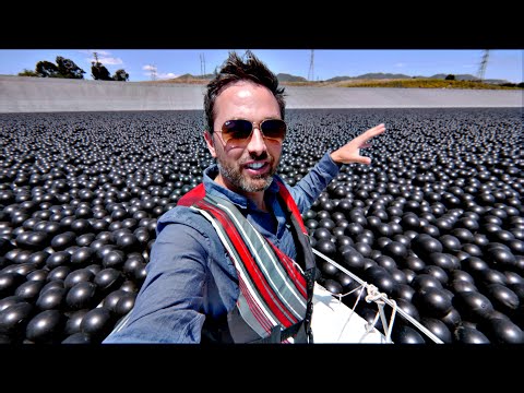 Why Are 96,000,000 Black Balls on the Los Angeles Reservoir? (Video)