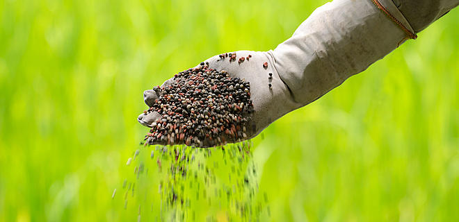 Technology That Turns Salt Water Into Fertilizer