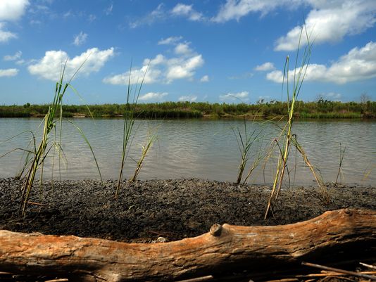 Diversions Help Rebuild Mississippi Delta