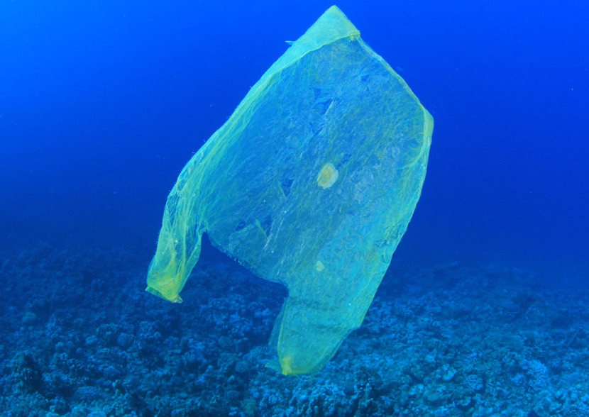 Dramatic Rise in Plastic Seabed Litter Around UK