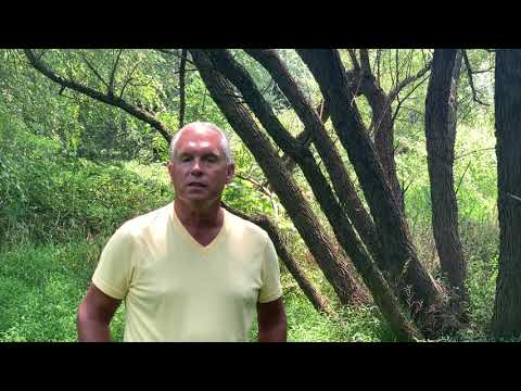 CREP Riparian Buffer - A Farmer Transforms a Stream