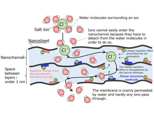 Highly functional membrane developed for producing freshwater from seawater
