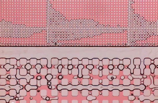 Foam Favorable for Oil Extraction Over Water