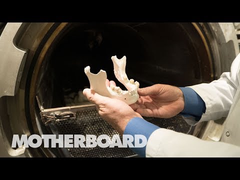 Water Cremation: Leaving Earth the Greenest Way Possible (Video)