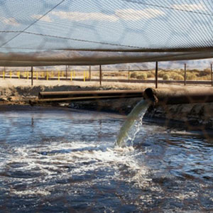 Hydraulic fracturing chemical spills on agricultural land need scrutiny, say CSU researchers