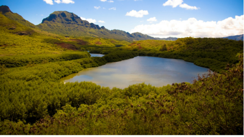 New Water Laws in Hawaii