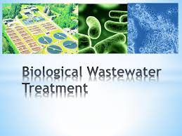 Investment in a highly efficient biological process company