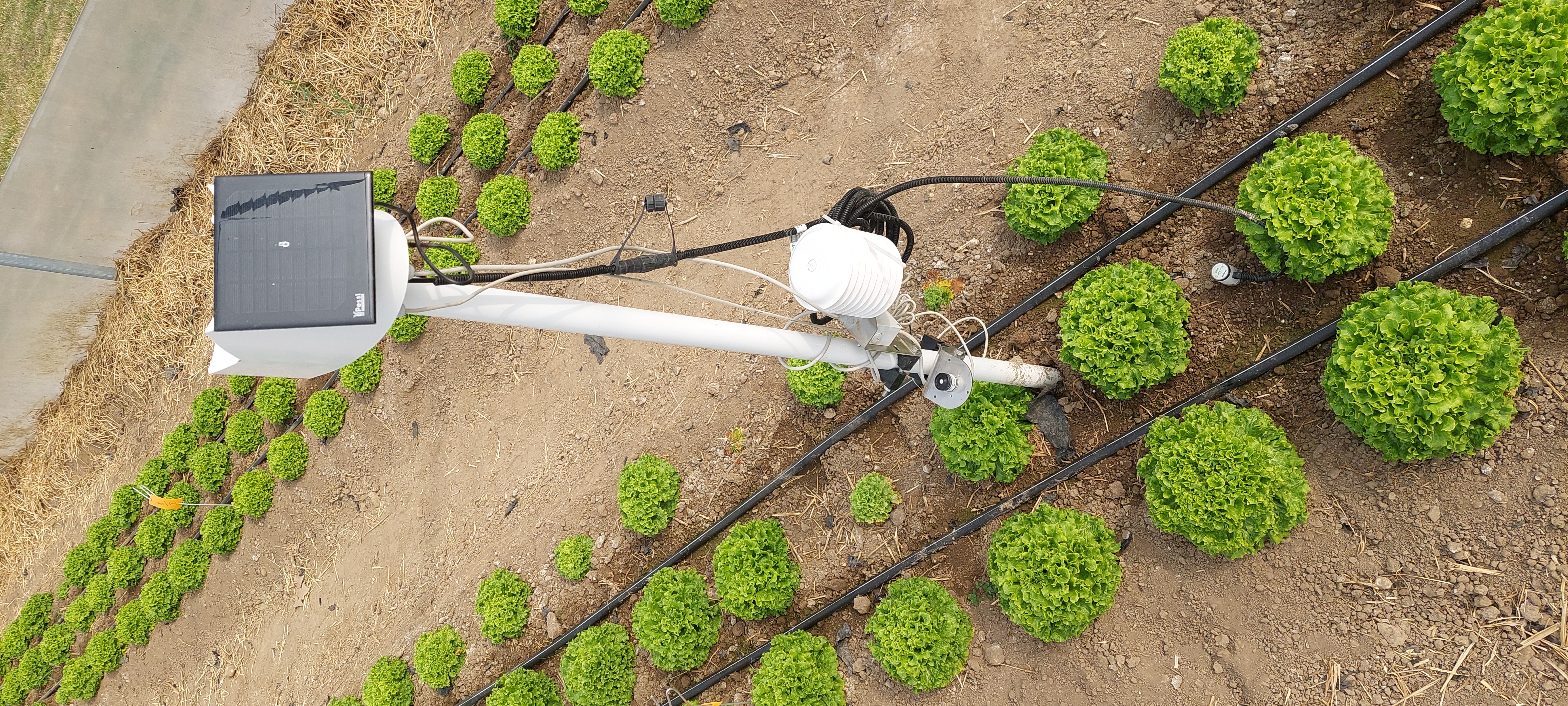 Irrigation, robotics, and the Internet of Things (IoT) are increasingly being used in agriculture to improve efficiency, yield, and sustainabili...