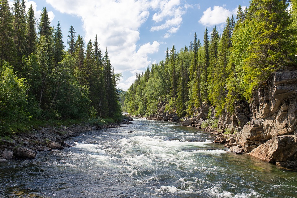 Going with the Flow: How Fecal Bacteria Spread in Streams