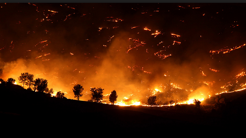 Wildfires Impact On Water Explained by Experts