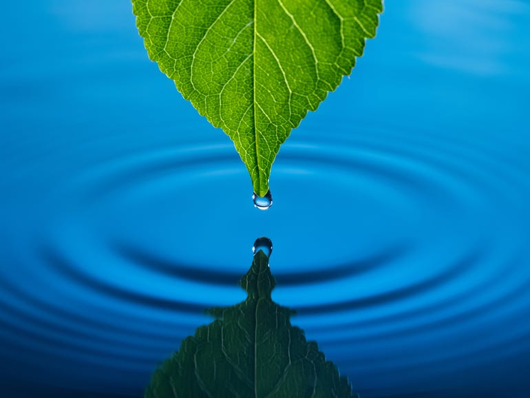 IBM partners with The Nature Conservancy India for IoT project on Lake Sembakkam | ZDNet