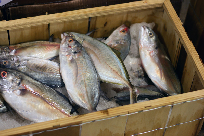 Microplastics Found in Supermarket Seafood