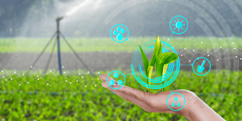 How digital technology has revolutionised the agricultural sector globally