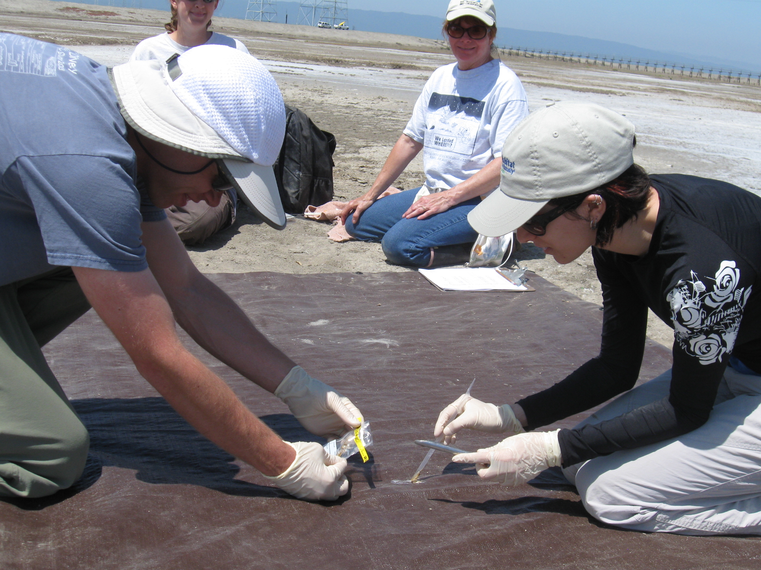 New Technology Helps Pinpoint Sources of Water Contamination